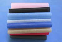 南开涤纶（PET）无纺布是什么